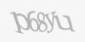 Beveiligingscode