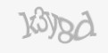 Beveiligingscode