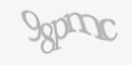 Beveiligingscode