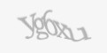 Beveiligingscode