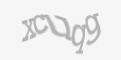 Beveiligingscode