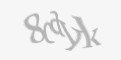 Beveiligingscode